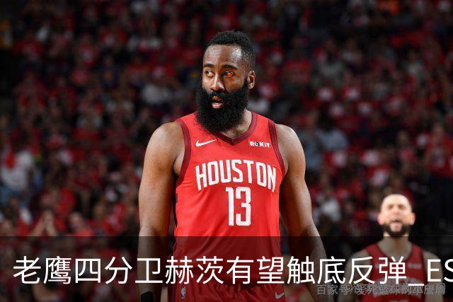 老鹰四分卫赫茨有望触底反弹 ESPN预测明夏或签巨额新约
